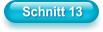 Schnitt 13